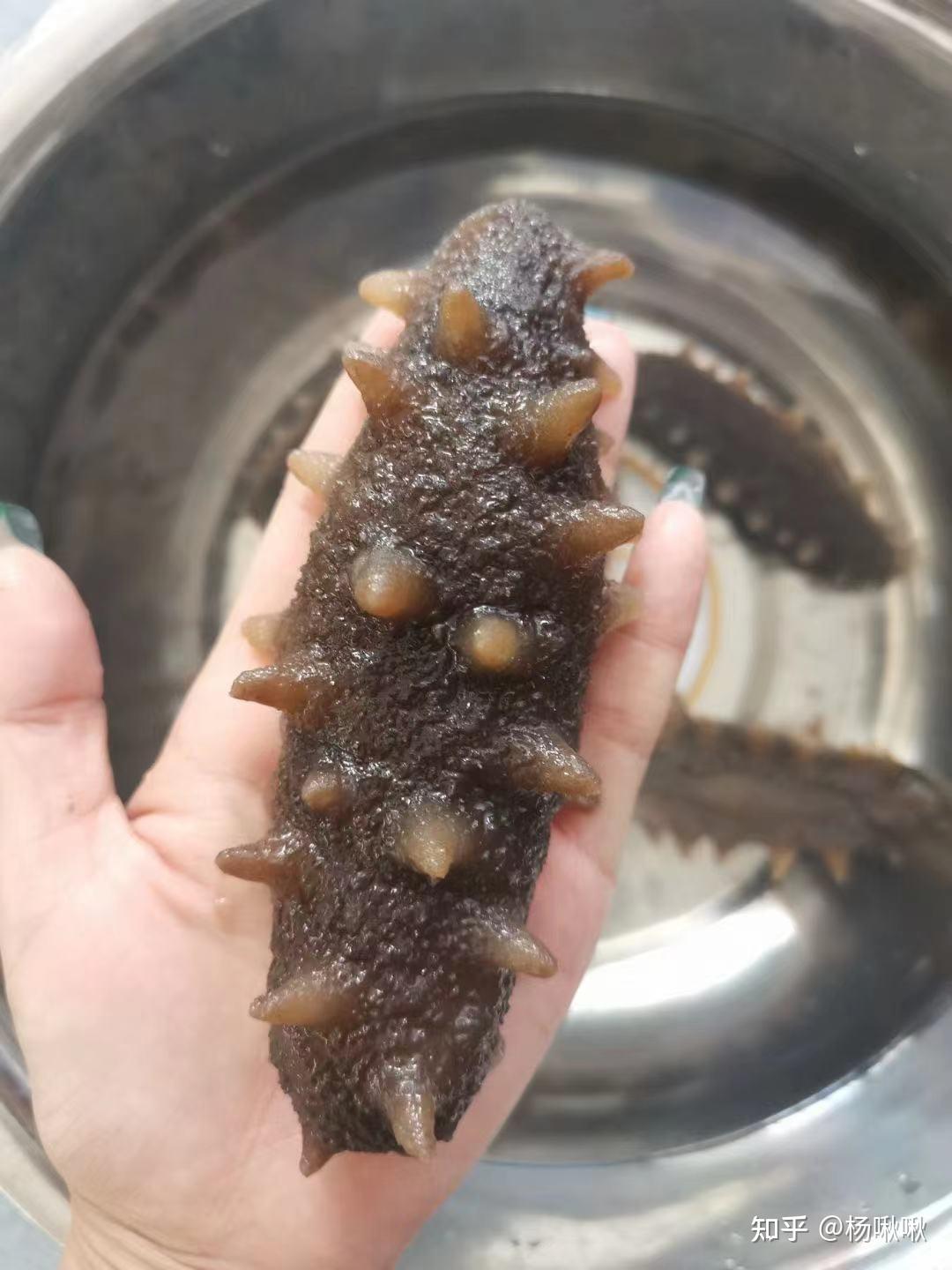 这种海参里面黄色的筋能吃吗