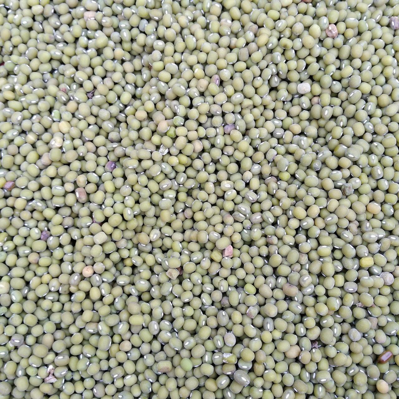 仁和春天投资价值