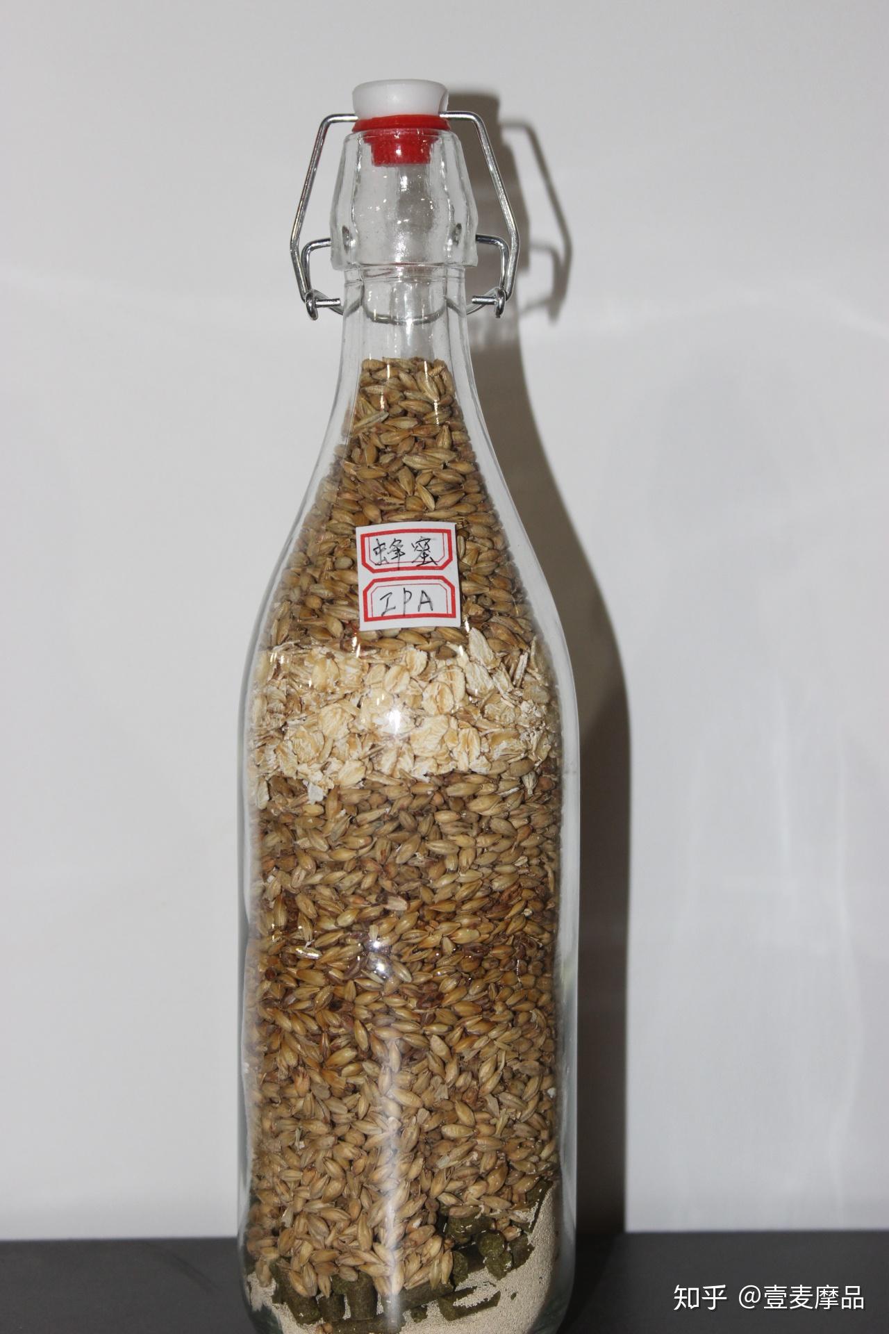 香菇菌种