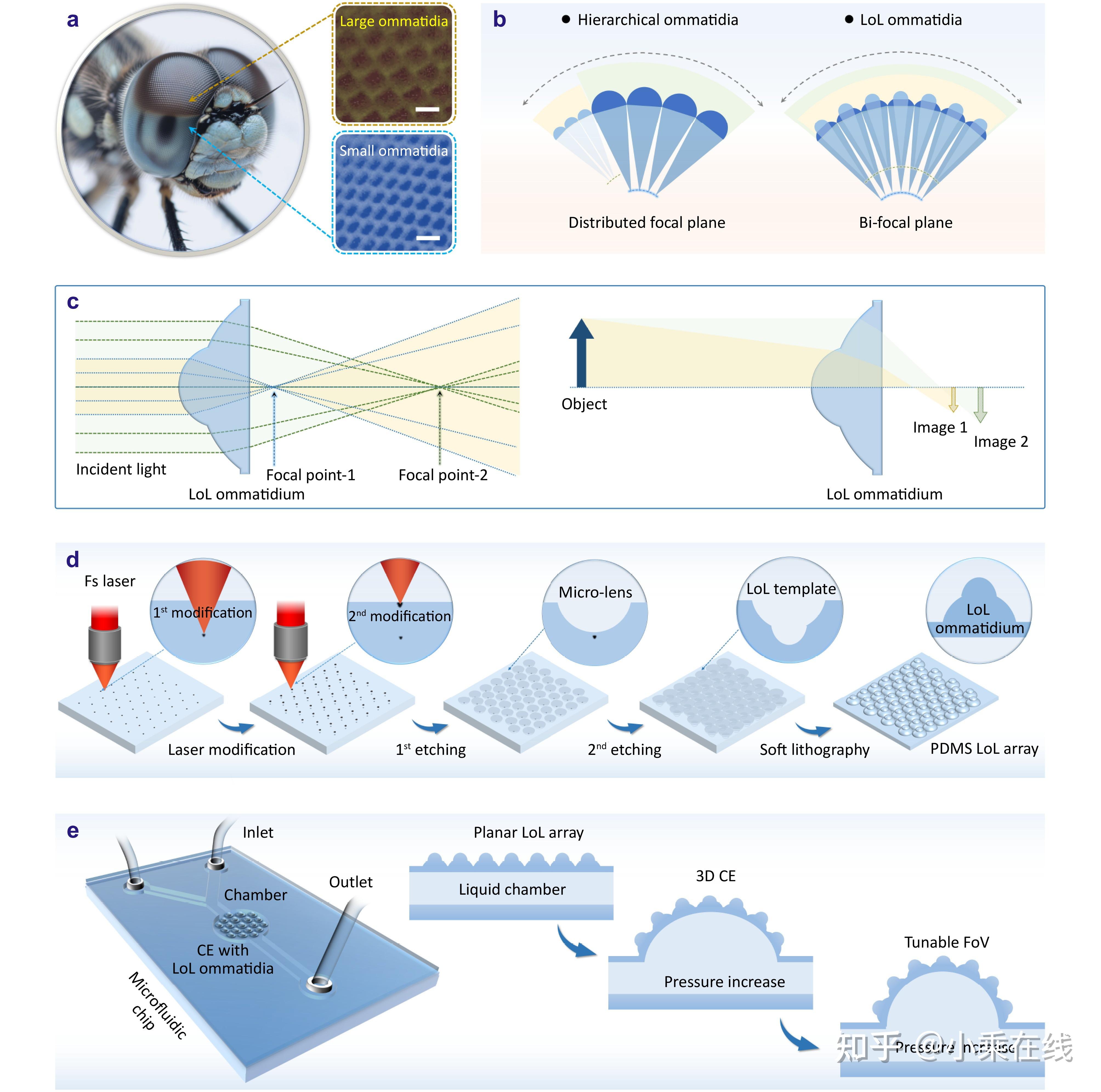 Tunable compound eyes with coaxial lens-on-lens ommatidia for ...
