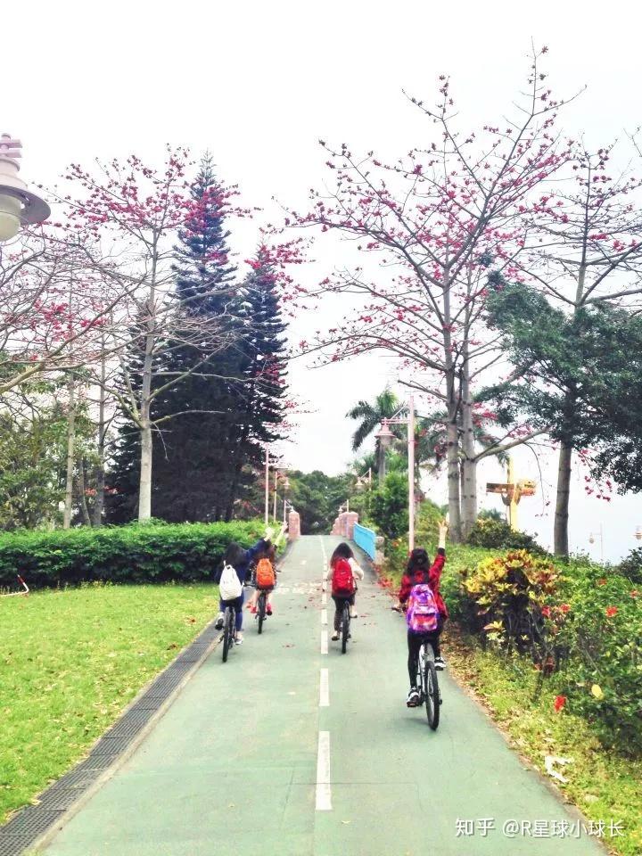 哔乎网友告诉你,住在香港大埔墟是什么样的神仙体验? - 知乎