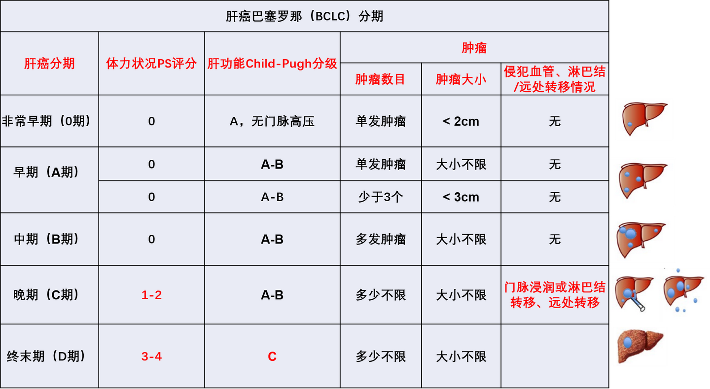 一文读懂肝癌的分期 知乎