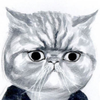 user-profile-image