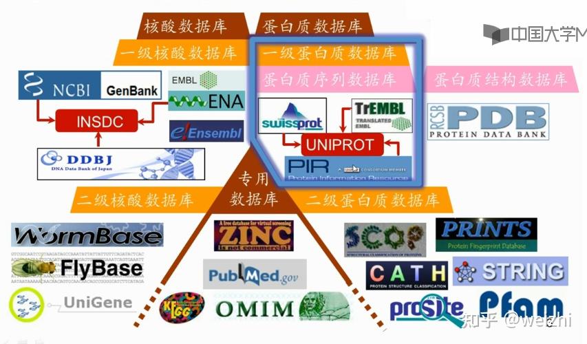 pfam数据库 数据库