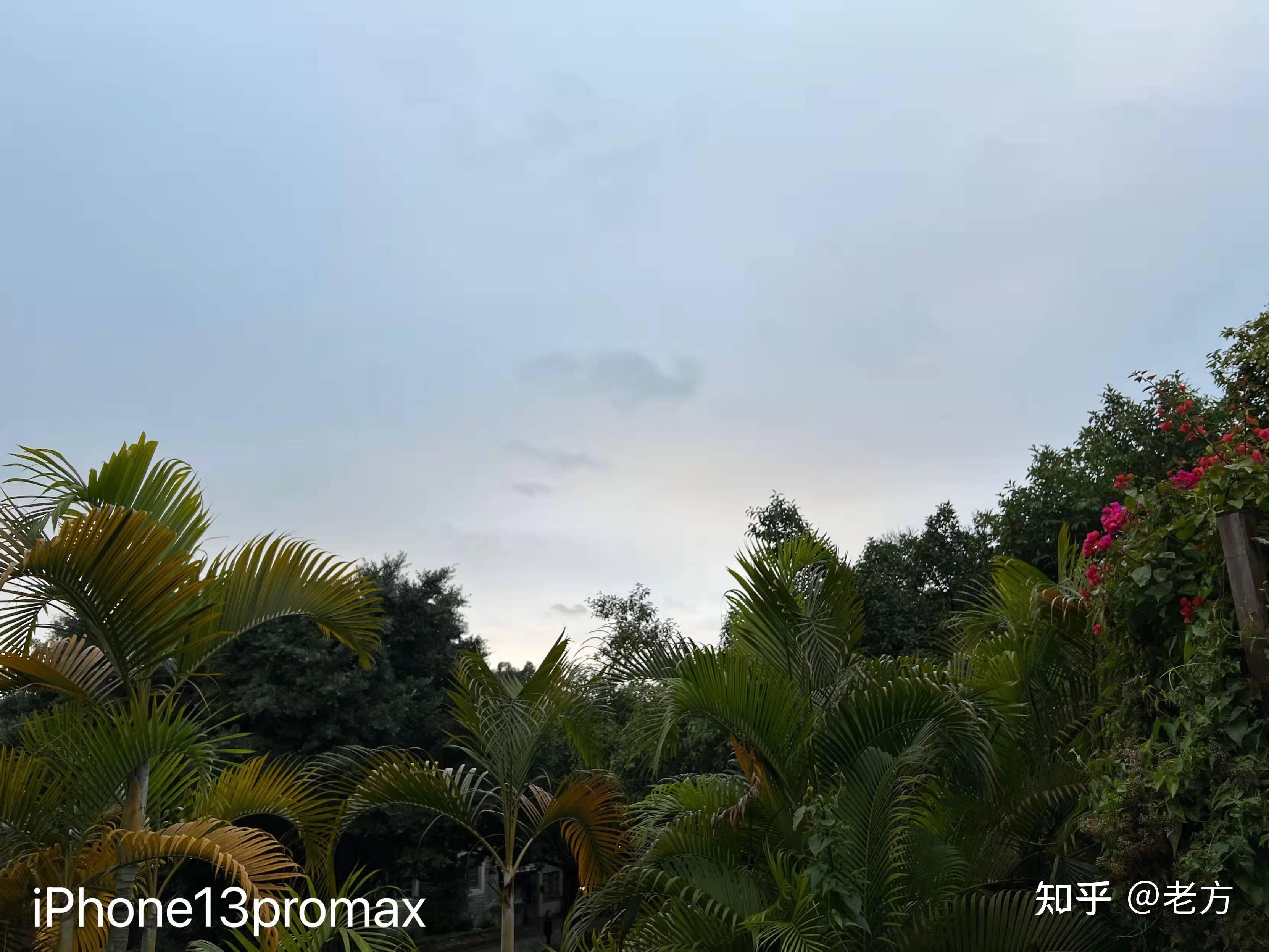 收購iPhone13Promax