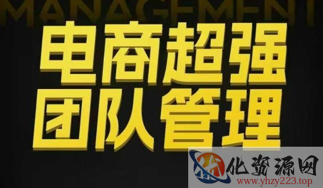 电商超强团队管理，组织绩效，到用人执行，分权合伙