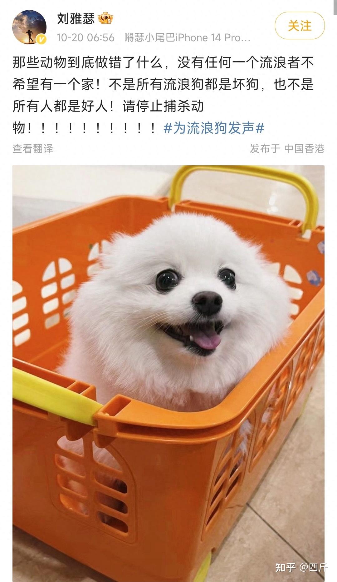女演员刘雅瑟为流浪狗发声惹争议，要求停止捕杀动物，小动物没错 - 知乎