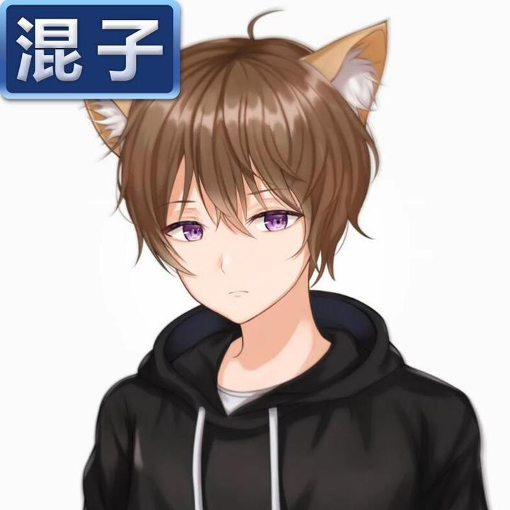 王者荣耀职业混子头像