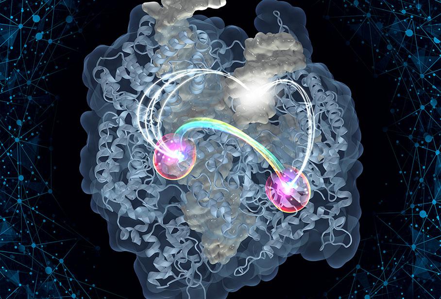 Featured image of post Cas Protein