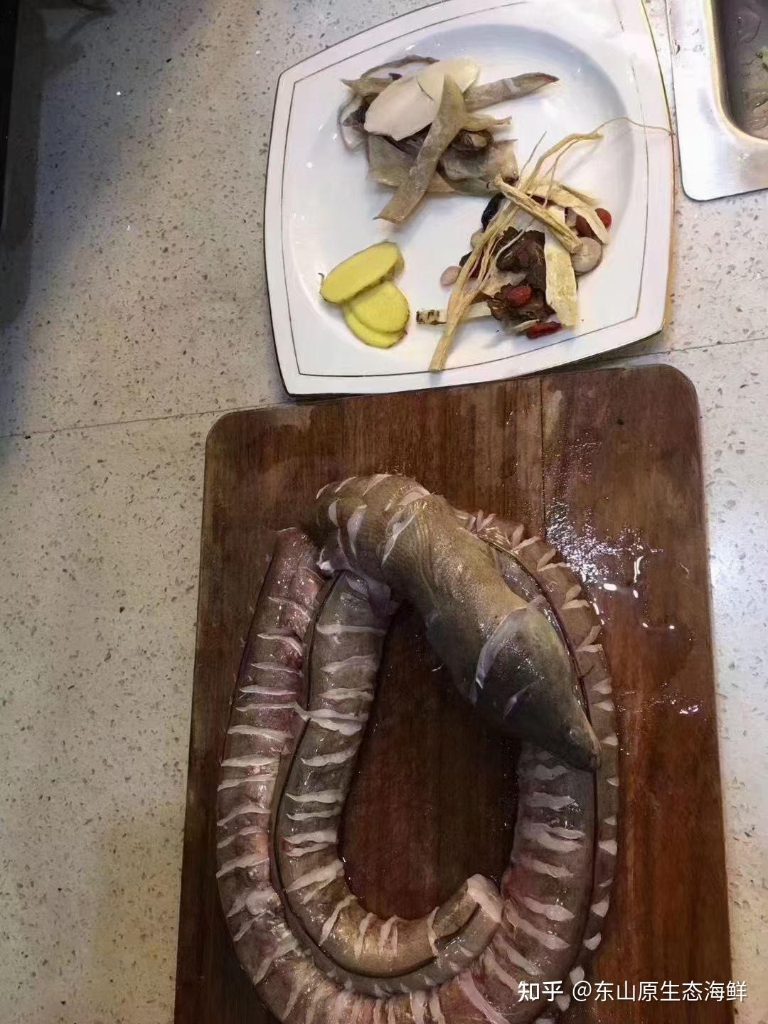野生土龙，它的学名叫波露豆齿蛇鳗 ，对腰骨具有神奇的食疗效果 - 知乎
