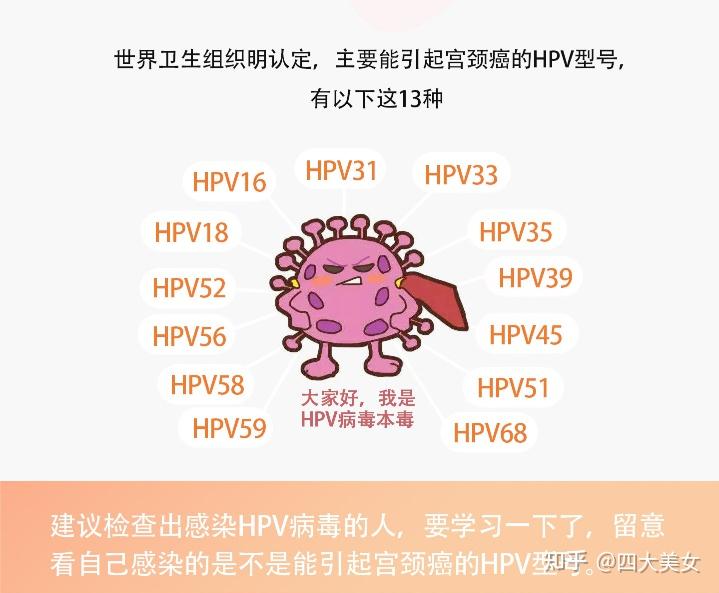 hpv是什么病 正常图片