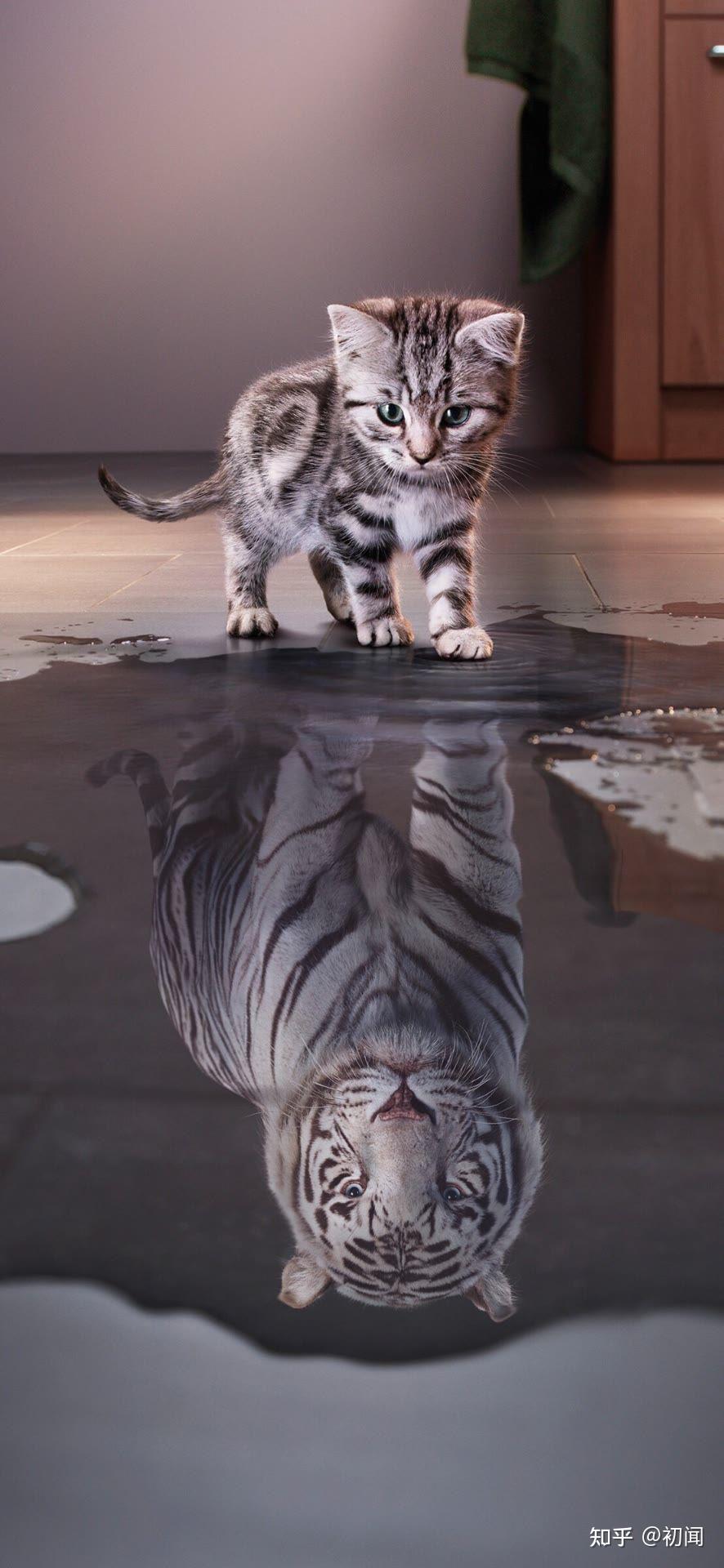 那些可以平复心情的壁纸